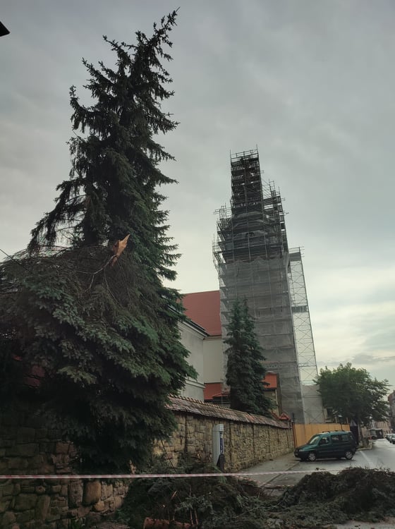 Nowy Sącz, połamane drzewa