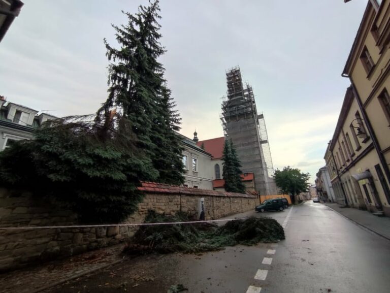 Nowy Sącz. Można zgłaszać szkody jakie wyrządziła nawałnica z gradem