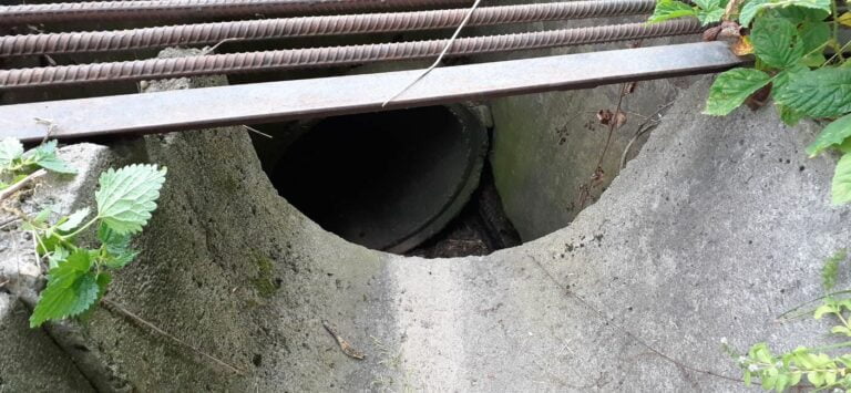 Uratowali 9 szczeniąt z przepustu. Zwierzęta trafiły pod opiekę weterynarza