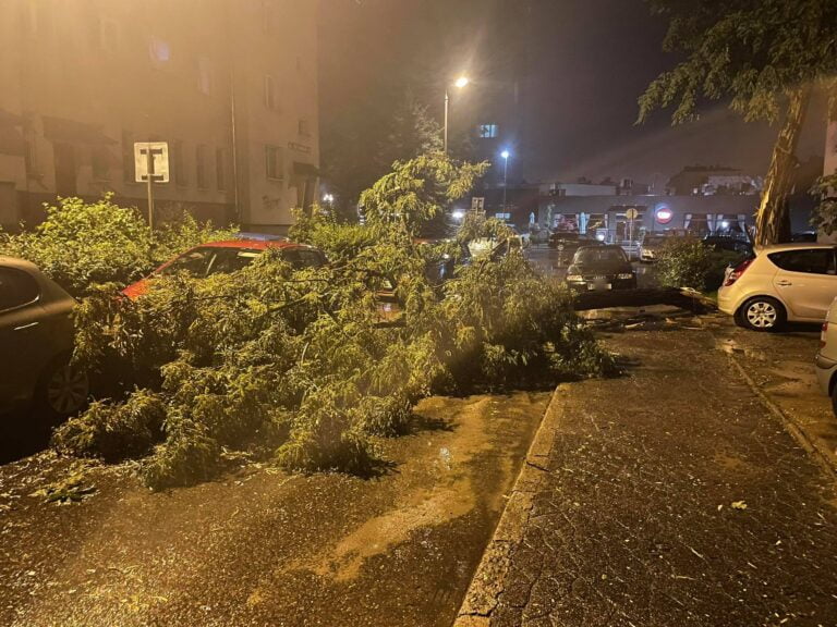 Nawałnica znów dotknęła Sądecczyznę. Połamane drzewa, brak prądu