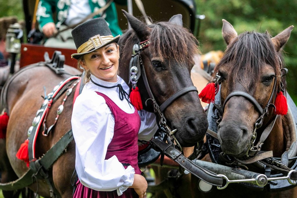 Wesele Dworskie, Nowy Sącz