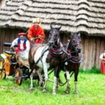 Wesele Dworskie, Nowy Sącz
