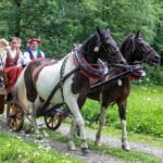 Wesele Dworskie, Nowy Sącz