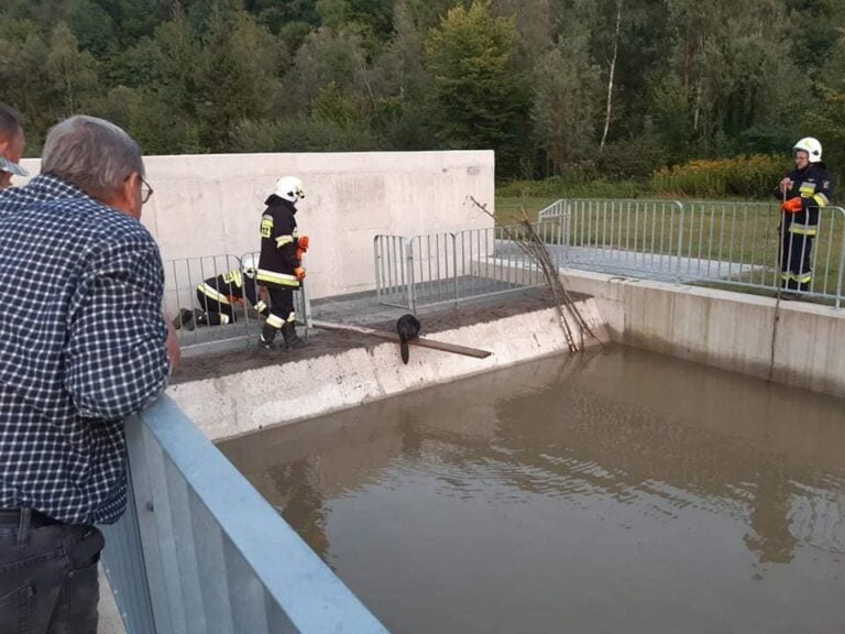Zabrzeż. Nietypowa interwencja strażaków
