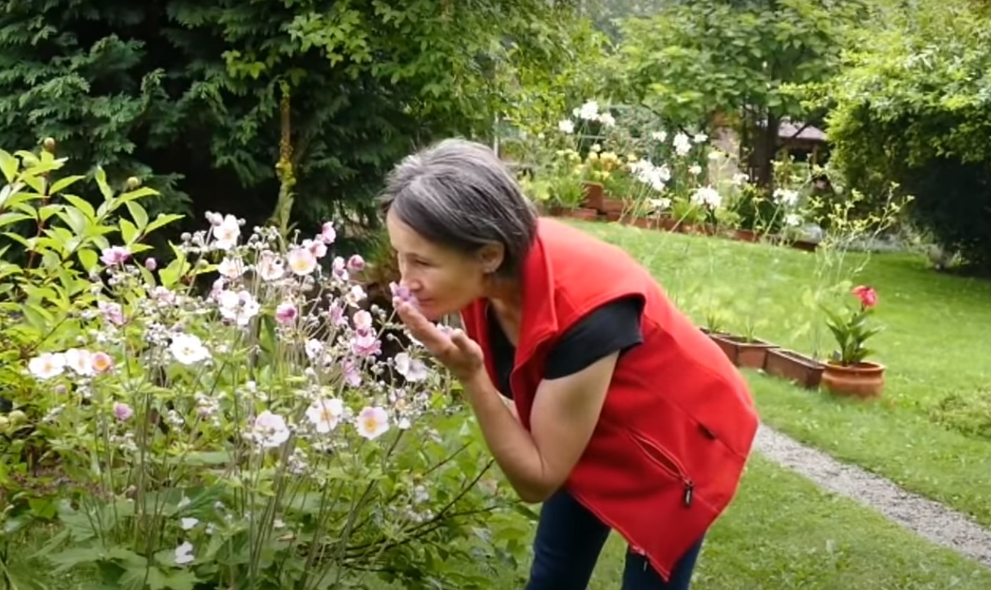 Wioletta Kmiecik