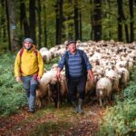 redyk Czarne - Nowy Targ