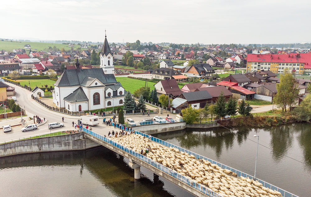 Redyk Bacy Klimowskiego
