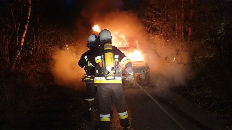 Zarzecze, Szczereż. Pożary samochodów osobowych