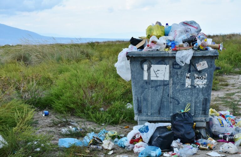 Ekologia i recykling, czyli czy segregacja śmieci ma sens?