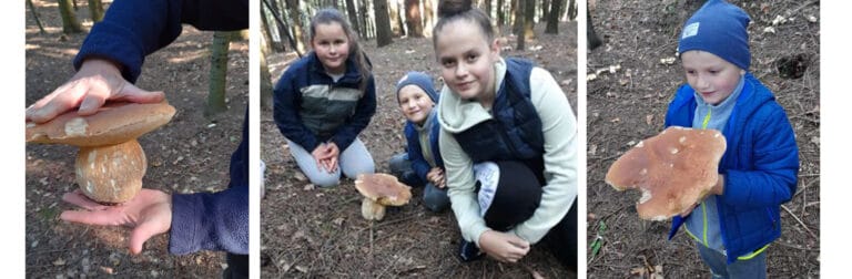 Beskid Sądecki. Grzybów jak na lekarstwo, ale dla wytrwałych natura bywa łaskawa