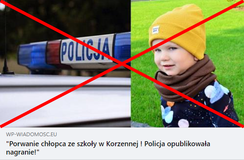 fake news, Korzenna
