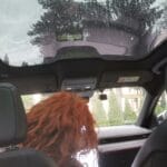 ford mustang elektryczny