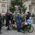 choinki na nowosądeckim rynku