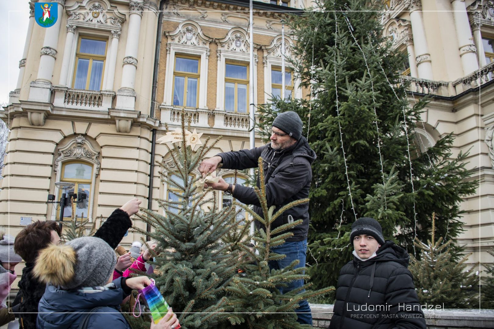 choinki na nowosądeckim rynku