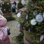 choinki na nowosądeckim rynku
