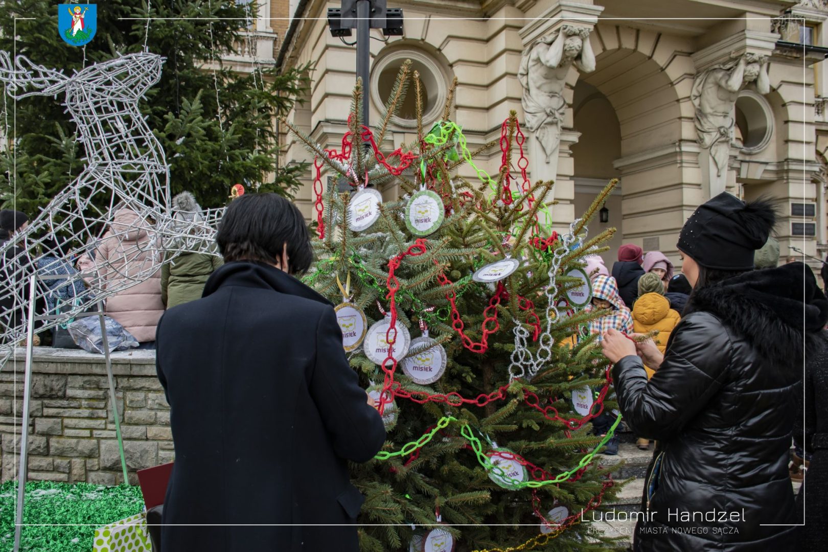 choinki na nowosądeckim rynku