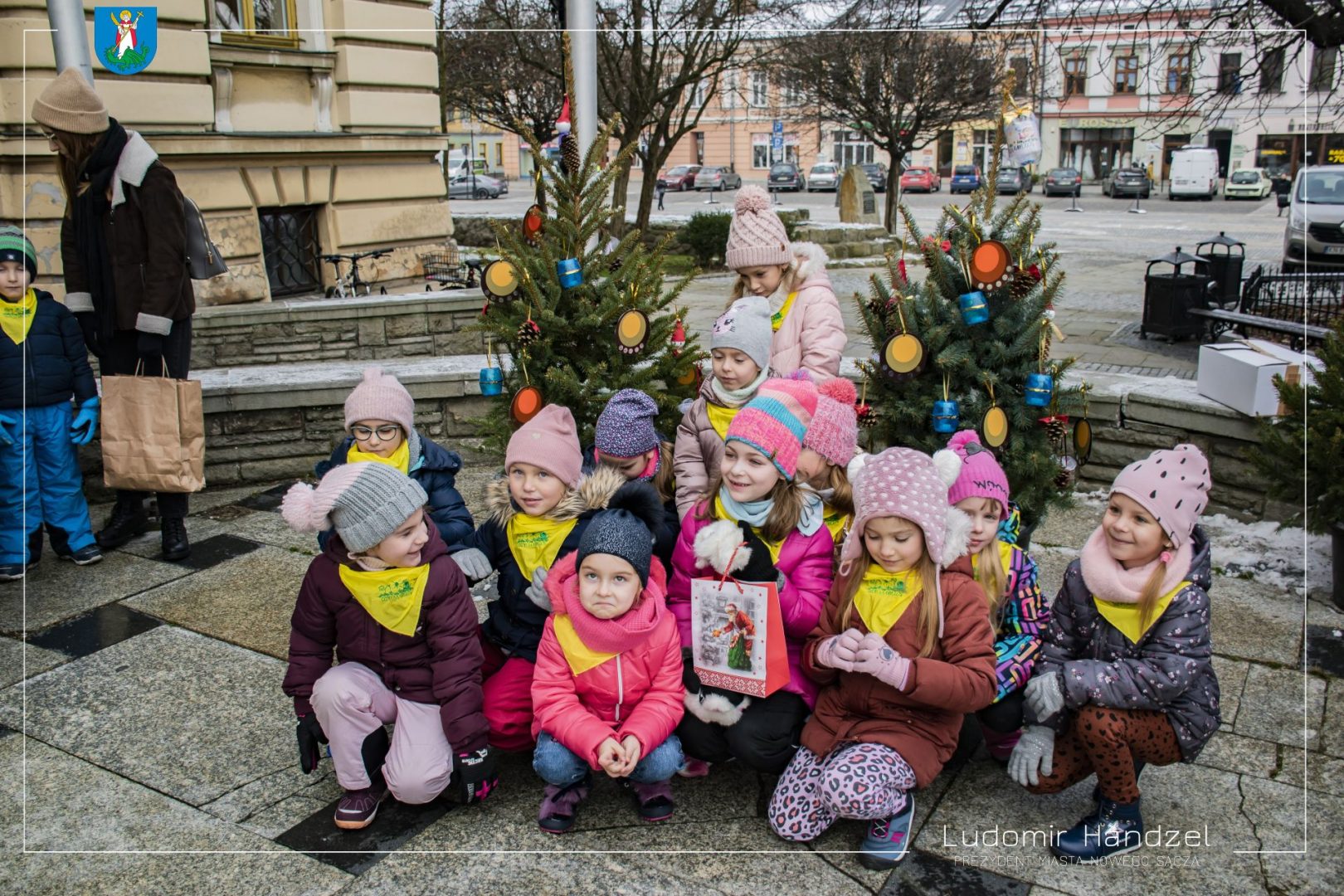 choinki na nowosądeckim rynku