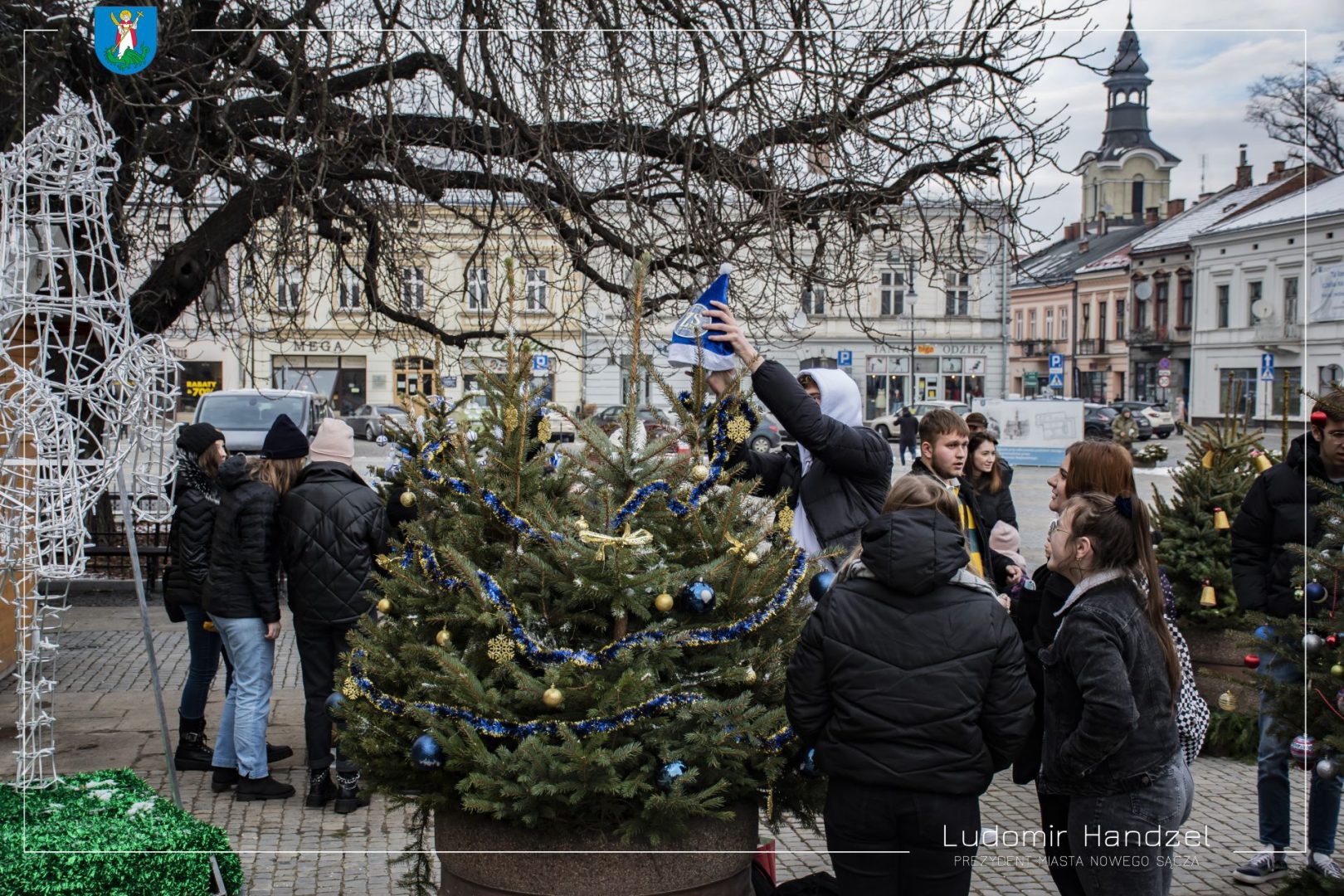 choinki na nowosądeckim rynku