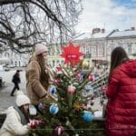 choinki na nowosądeckim rynku