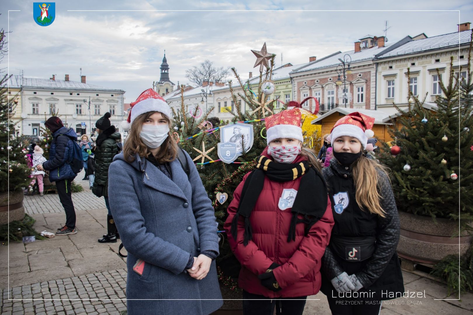 choinki na nowosądeckim rynku