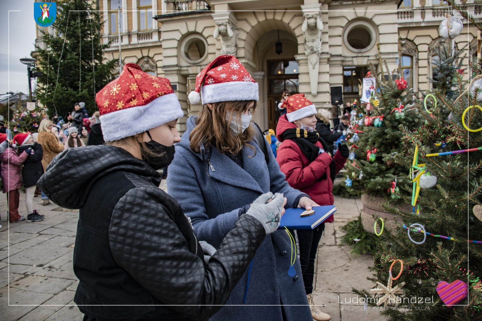 choinki na nowosądeckim rynku
