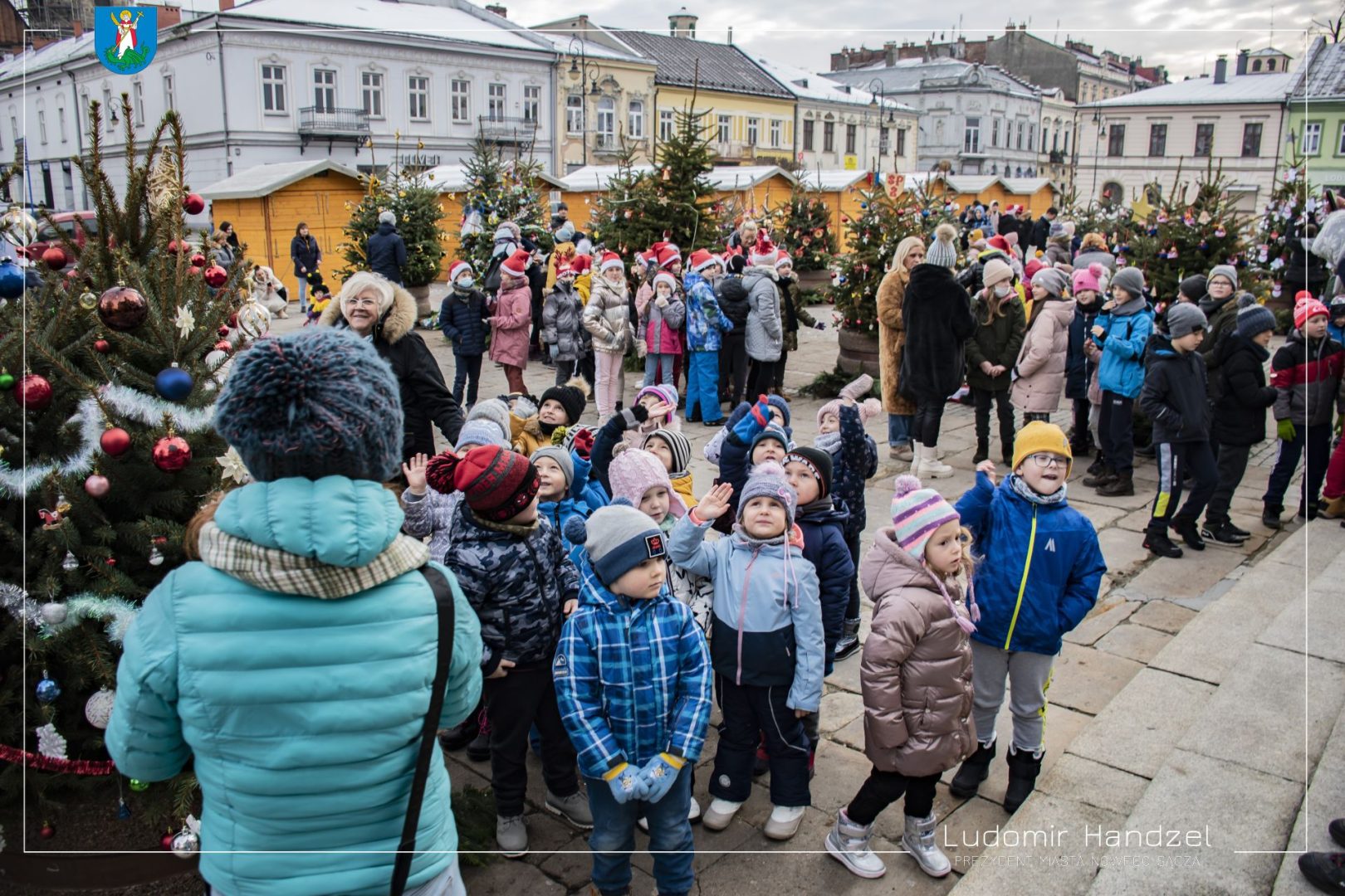 choinki na nowosądeckim rynku