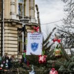 choinki na nowosądeckim rynku
