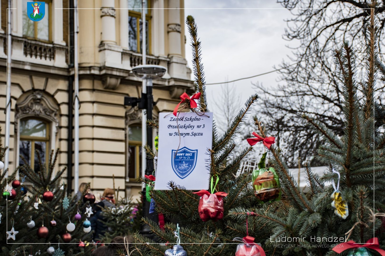 choinki na nowosądeckim rynku