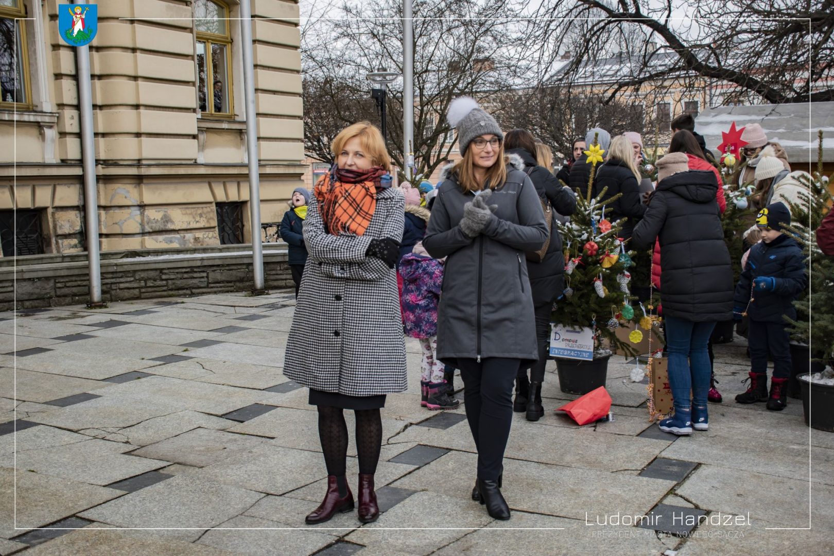 choinki na nowosądeckim rynku