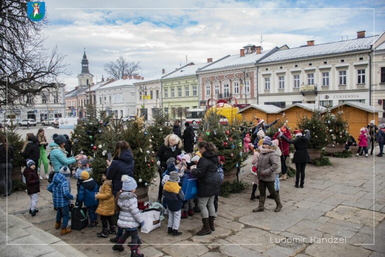 Nowy Sącz. Choinkowy las na sądeckim rynku [ZDJĘCIA]