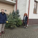 choinki, poseł Jan Duda, kradzież, konkurs, Żywiecka 25, Dobry Tygodnik Sądecki