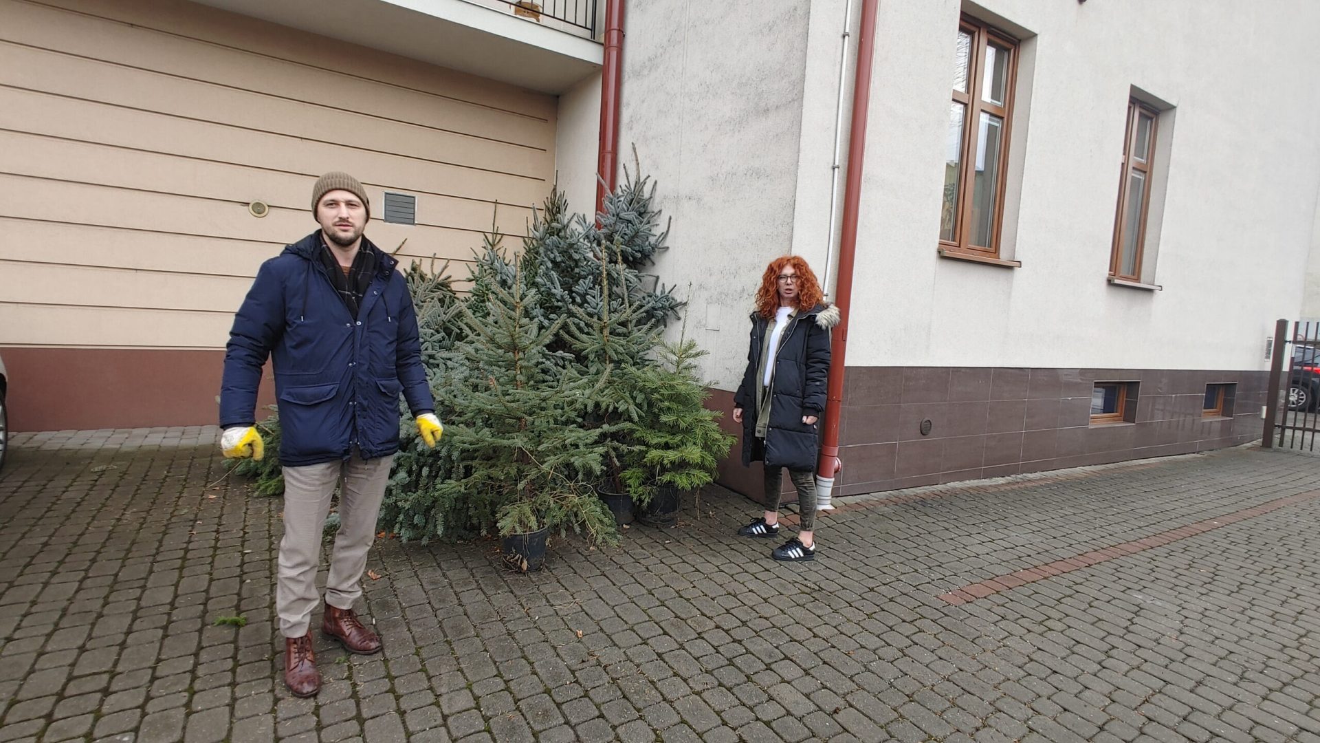 choinki, poseł Jan Duda, kradzież, konkurs, Żywiecka 25, Dobry Tygodnik Sądecki