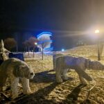 Muszyna, Zimowy Park Bajkowych Postaci