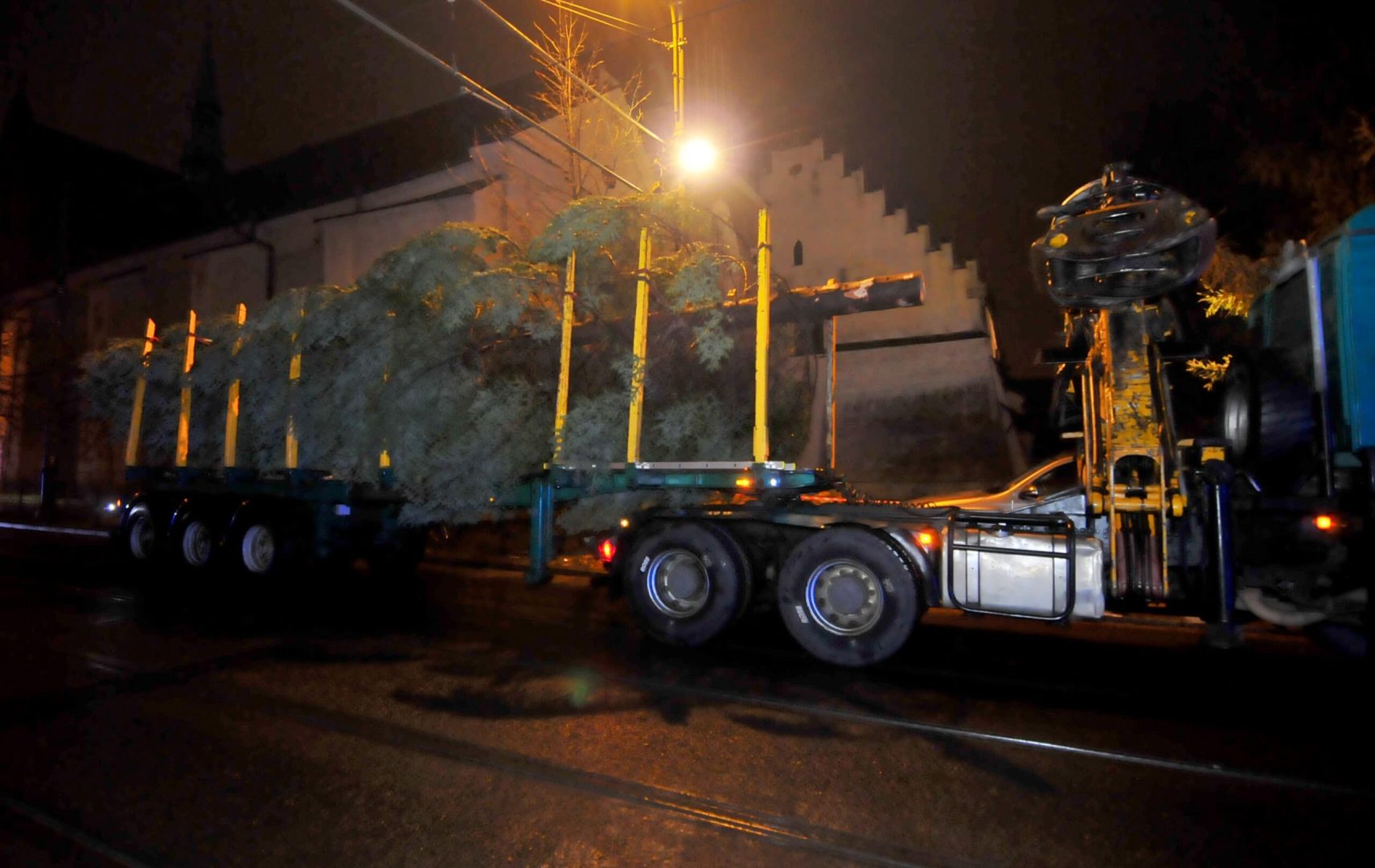 Nadleśnictwo Nawojowa, Okno Ppaieskie, choinka, Franciszkańska 3