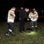 Nadleśnictwo Nawojowa, Okno Ppaieskie, choinka, Franciszkańska 3