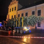 Nadleśnictwo Nawojowa, Okno Ppaieskie, choinka, Franciszkańska 3