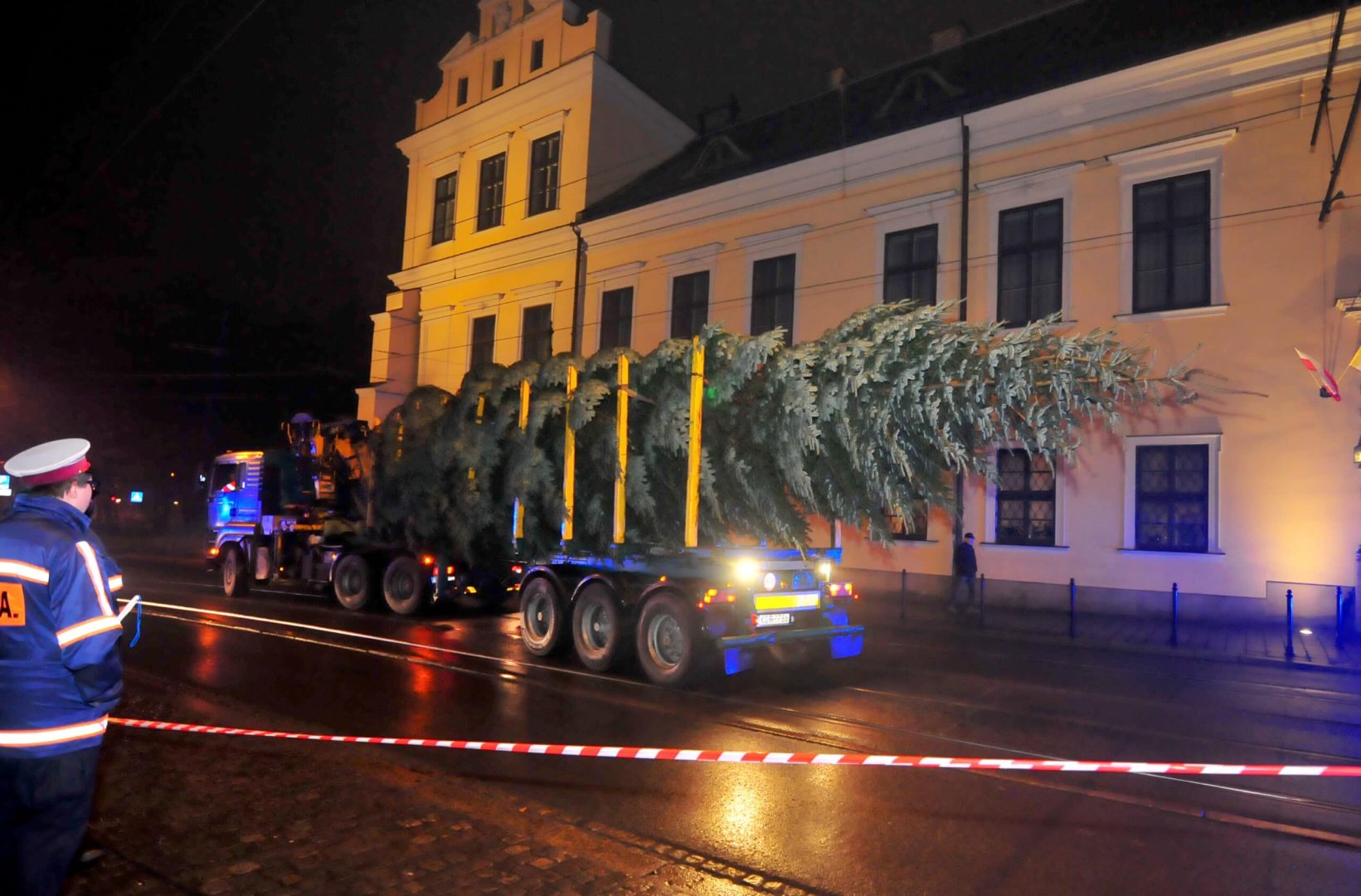 Nadleśnictwo Nawojowa, Okno Ppaieskie, choinka, Franciszkańska 3