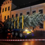 Nadleśnictwo Nawojowa, Okno Ppaieskie, choinka, Franciszkańska 3