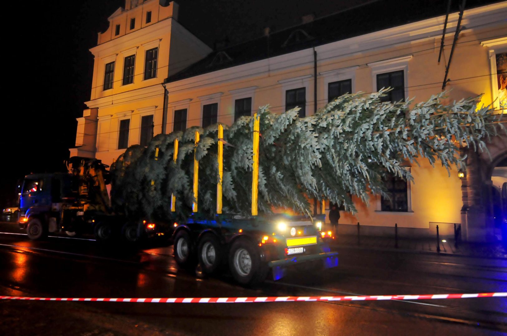 Nadleśnictwo Nawojowa, Okno Ppaieskie, choinka, Franciszkańska 3