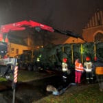 Nadleśnictwo Nawojowa, Okno Ppaieskie, choinka, Franciszkańska 3