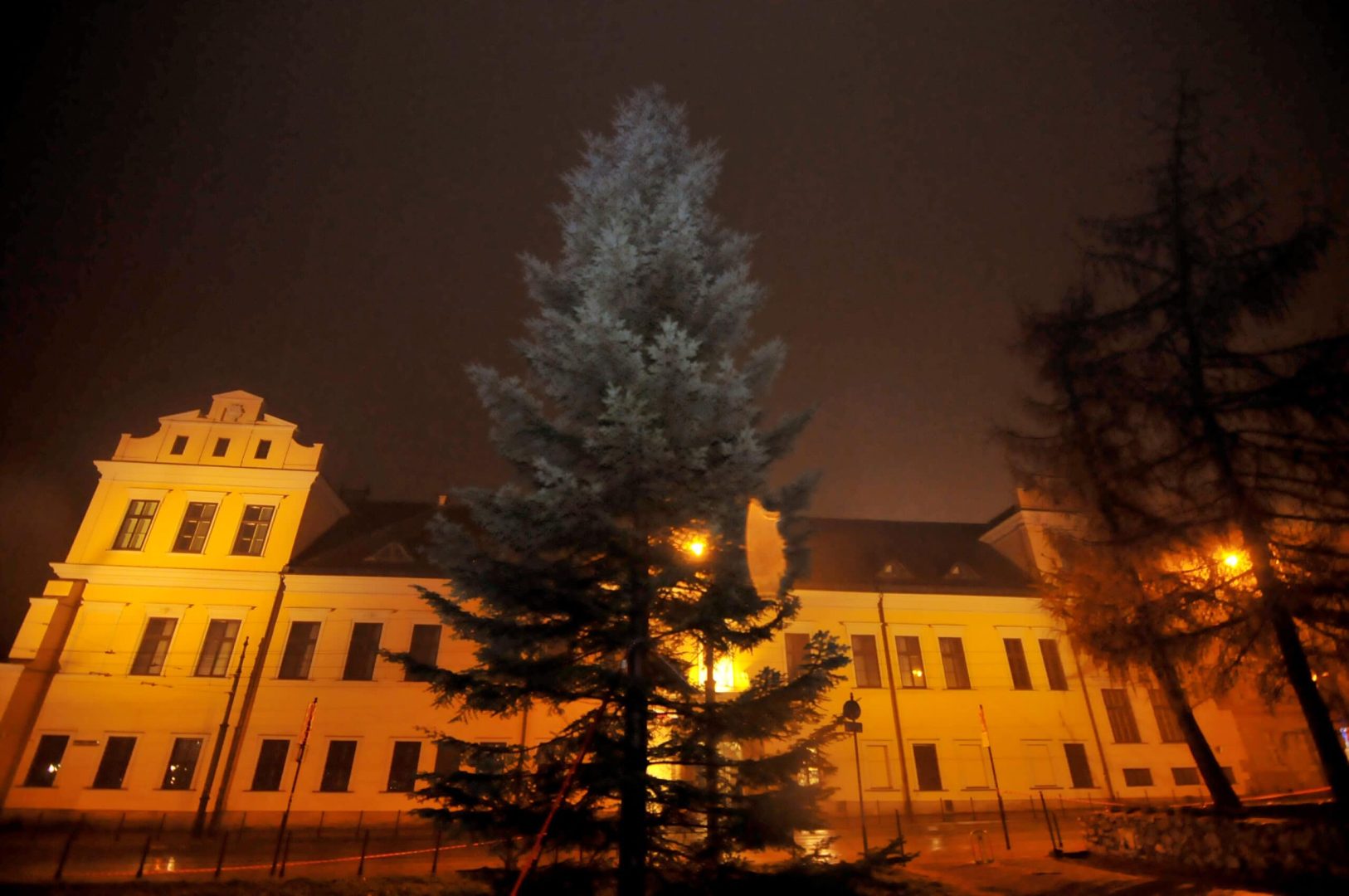Nadleśnictwo Nawojowa, Okno Ppaieskie, choinka, Franciszkańska 3