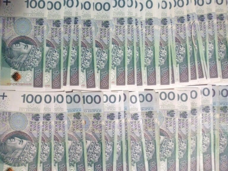 Włamanie w gminie Chełmiec. Złodziej ukradł 100 tysięcy złotych