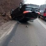 dachowanie Nowy Sącz