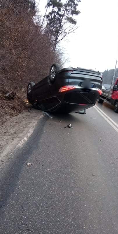 dachowanie Nowy Sącz