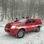 OSP Piwniczna-Zdrój, powalone drzewo