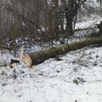 śnieżna wichura