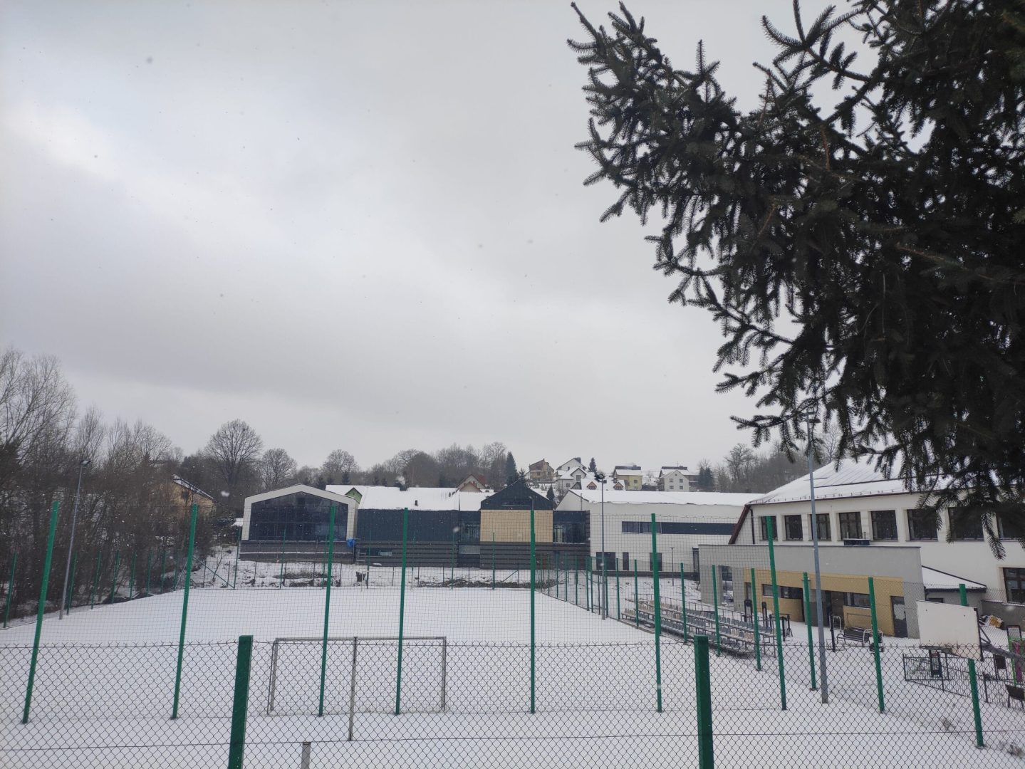 basen Korzenna