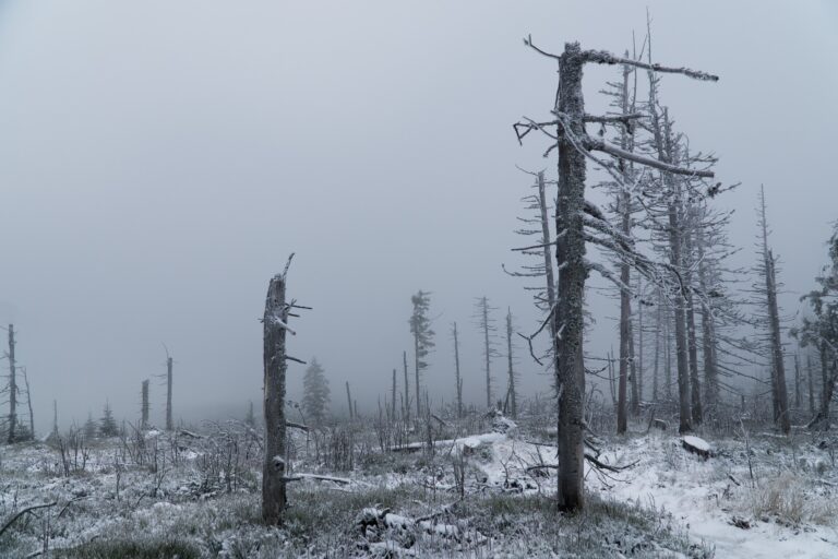 W stronę Polski pędzi orkan Malik. Trzeba być gotowym na ekstremalnie trudne warunki