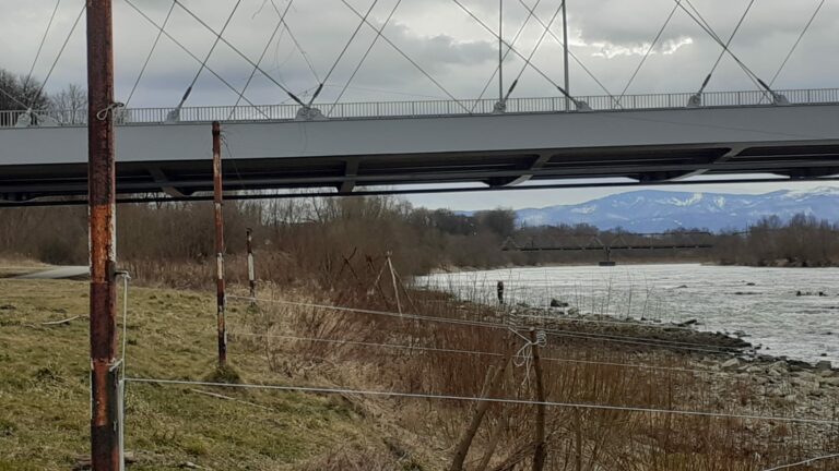 Koniec poszukiwań nad Dunajcem w Nowym Sączu
