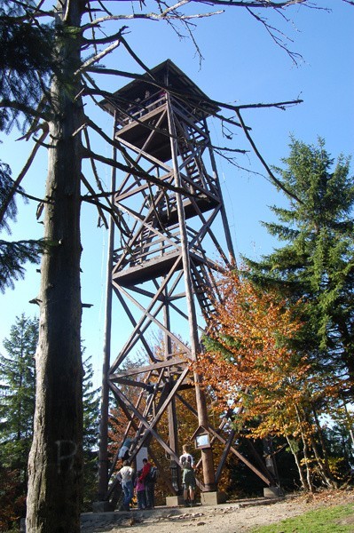 Mogielica, gmina Dobra, remont, odbudowa